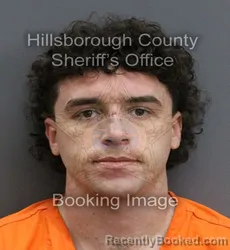 Mugshot of DAULTON JEFFREY GILL booked in Hillsborough County, Florida on May 29, 2026