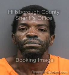Mugshot of KOULOUVARIS LANORRIS DEMETRI THOMPSON booked in Hillsborough County, Florida on May 29, 2026