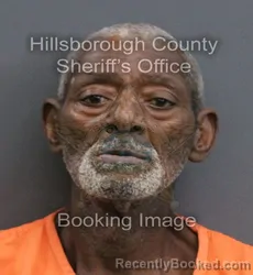 Mugshot of LEE VERN MCDOWELL booked in Hillsborough County, Florida on May 29, 2026