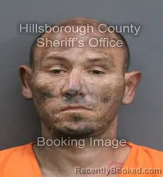 Mugshot of TRAVIS LEE ANDERSON booked in Hillsborough County, Florida on May 29, 2026