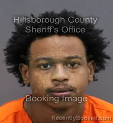 Mugshot of DESEAN MARQUETTE GRIER booked in Hillsborough County, Florida on May 30, 2026