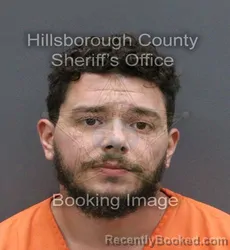 Mugshot of ALEXANDER KOSTER booked in Hillsborough County, Florida on May 30, 2026