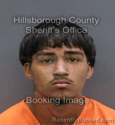 Mugshot of JORDAN TYREE FORD booked in Hillsborough County, Florida on May 30, 2026