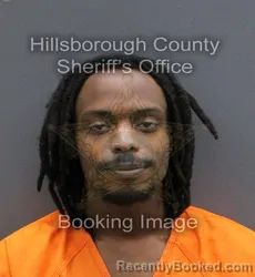 Mugshot of DALZA DANTHONY LAMAR BEAUFORD booked in Hillsborough County, Florida on May 30, 2026
