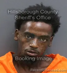 Mugshot of SHAQUILLE JEGUAN GAY booked in Hillsborough County, Florida on May 30, 2026