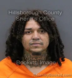 Mugshot of JORGE ORLANDO MARTINEZ HERNANDEZ booked in Hillsborough County, Florida on May 30, 2026