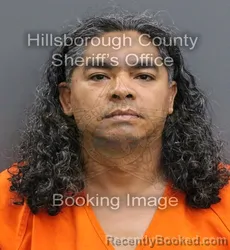 Mugshot of YONNI MUNOZ PINERO booked in Hillsborough County, Florida on May 30, 2026