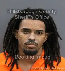 Mugshot of RASHAWN XAVIER GARTH GRIFFITH booked in Hillsborough County, Florida on May 30, 2026