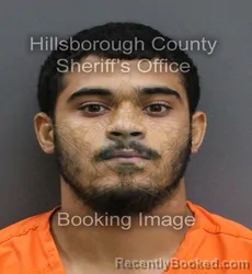 Mugshot of BRIAN FRANK JR BARONE booked in Hillsborough County, Florida on May 30, 2026