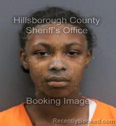 Mugshot of LAURIELLE MARIE LOGHN booked in Hillsborough County, Florida on May 30, 2026