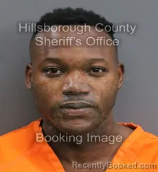 Mugshot of CRUISE CORDARO YOUNG booked in Hillsborough County, Florida on May 30, 2026
