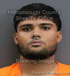 Mugshot of ALEJANDRO OSMANI POMPA booked in Hillsborough County, Florida on May 30, 2026