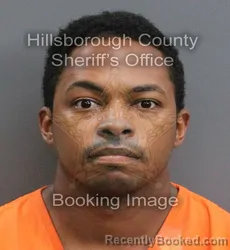 Mugshot of GIOVANNI GREGORY MAYNE booked in Hillsborough County, Florida on May 30, 2026