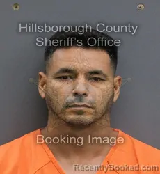 Mugshot of DERIS LEONARDO SALAYA NAVAS booked in Hillsborough County, Florida on May 30, 2026