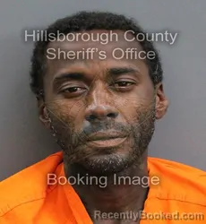 Mugshot of NATHAN JR BROWN booked in Hillsborough County, Florida on May 30, 2026