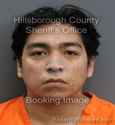 Mugshot of CRISTIAN CHARREZ booked in Hillsborough County, Florida on May 30, 2026