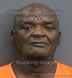 Mugshot of TERRY WILLIAMS booked in Hillsborough County, Florida on May 30, 2026