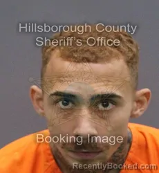 Mugshot of JAVIER ANTONIO VALLEJO booked in Hillsborough County, Florida on May 30, 2026