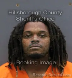 Mugshot of TYRONE DWAYNE HARRIS booked in Hillsborough County, Florida on May 30, 2026