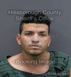 Mugshot of ALBERTO ANDRES LOPEZ BOUQUET booked in Hillsborough County, Florida on May 30, 2026