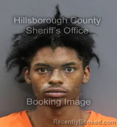 Mugshot of SINTELL EUGENE SWOOPE booked in Hillsborough County, Florida on May 31, 2026