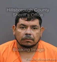 Mugshot of CRISTIAN MIGUEL SERRANO MELGAREJO booked in Hillsborough County, Florida on May 31, 2026