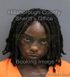 Mugshot of DANISHA LAVON ROKER booked in Hillsborough County, Florida on May 31, 2026