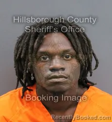 Mugshot of QUINTORIOUS DOVONTAE EVERETT booked in Hillsborough County, Florida on May 31, 2026