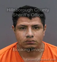 Mugshot of JOSE MANUEL LAUREANO BALTAZAR booked in Hillsborough County, Florida on May 31, 2026