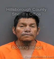 Mugshot of FELICIANO GONZALEZ VICENTE booked in Hillsborough County, Florida on May 31, 2026