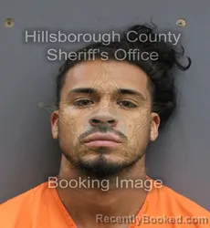 Mugshot of SAMUEL DAVID CANTILLO booked in Hillsborough County, Florida on May 31, 2026