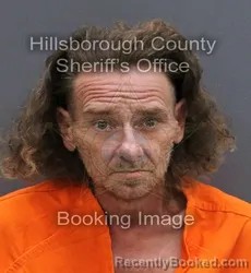 Mugshot of JOSEPH SARSFIELD booked in Hillsborough County, Florida on May 31, 2026