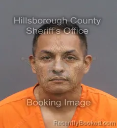 Mugshot of PEDRO P HERRERA PAREDES booked in Hillsborough County, Florida on May 31, 2026