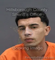Mugshot of STEVAN P RODRIGUEZ booked in Hillsborough County, Florida on May 31, 2026