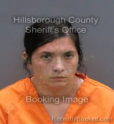 Mugshot of ANETT MARIVEL ECHEVARRIA booked in Hillsborough County, Florida on May 31, 2026