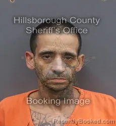 Mugshot of RAYMOND A CRUZ booked in Hillsborough County, Florida on May 31, 2026