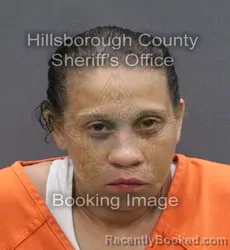 Mugshot of MARIA R SANTANA booked in Hillsborough County, Florida on May 31, 2026