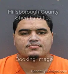 Mugshot of ELIJAH WADE MITCHELL booked in Hillsborough County, Florida on May 31, 2026