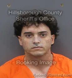 Mugshot of JULIAN MATTHEW ADELMAN booked in Hillsborough County, Florida on May 31, 2026