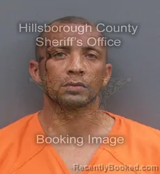 Mugshot of ANGEL GUZMAN booked in Hillsborough County, Florida on May 31, 2026