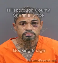 Mugshot of ROBERTO CARLOS LOPEZ booked in Hillsborough County, Florida on May 31, 2026
