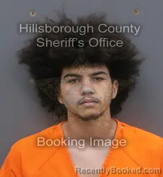 Mugshot of DAMIAN IV GONZALEZ booked in Hillsborough County, Florida on May 31, 2026