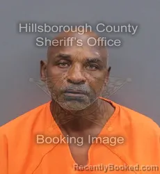 Mugshot of ELIJAH JASPER booked in Hillsborough County, Florida on May 31, 2026