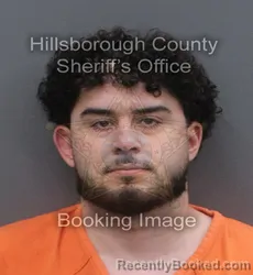 Mugshot of NICHOLAUS GABRIEL CUCURELLA booked in Hillsborough County, Florida on May 31, 2026