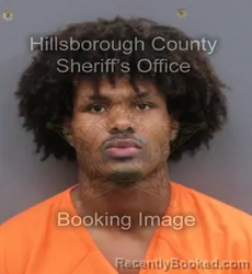 Mugshot of JULIAN ALEXANDER ARTHURS booked in Hillsborough County, Florida on May 31, 2026