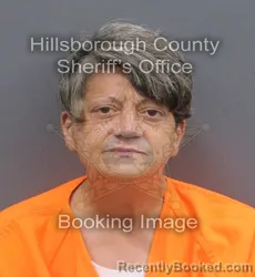 Mugshot of ALANA LEE VAN EMBURGH booked in Hillsborough County, Florida on May 31, 2026