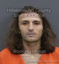 Mugshot of DOMINIC ROARK SUHOZA booked in Hillsborough County, Florida on May 31, 2026