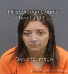 Mugshot of ESRAA HASSAN ELGABRY booked in Hillsborough County, Florida on May 31, 2026