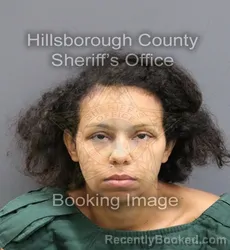 Mugshot of MASSIEL CHRISTINE RICHARDSON booked in Hillsborough County, Florida on May 31, 2026