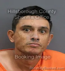 Mugshot of GIOVANNI ABREU booked in Hillsborough County, Florida on May 31, 2026